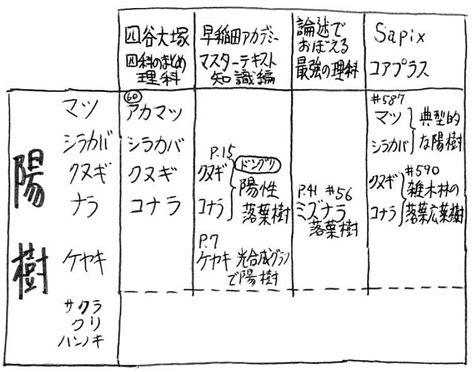 陰樹 種類|陰樹の特徴と陽樹の特徴 違いも解説 – 庭師の独り言